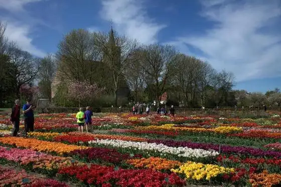Tulpen in bloei bij Hortus Bulborum